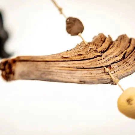 Valle Filippo Appartement